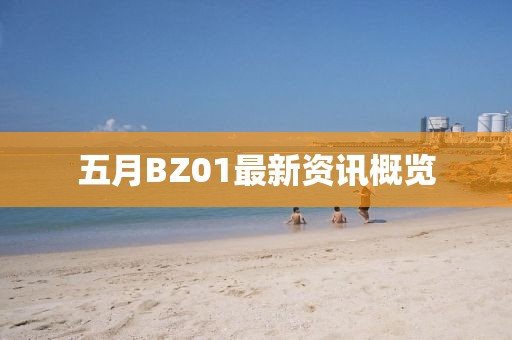 五月BZ01最新资讯概览