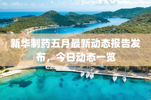 新华制药五月最新动态报告发布，今日动态一览