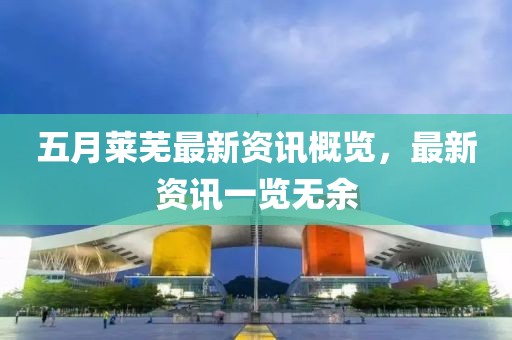 五月莱芜最新资讯概览，最新资讯一览无余