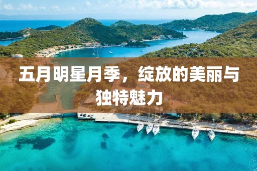 2025年5月1日