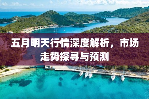五月明天行情深度解析，市场走势探寻与预测
