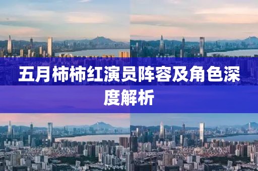 五月柿柿红演员阵容及角色深度解析