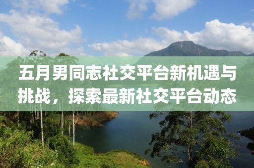 五月男同志社交平台新机遇与挑战，探索最新社交平台动态