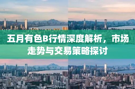 五月有色B行情深度解析，市场走势与交易策略探讨