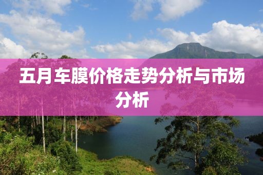 五月车膜价格走势分析与市场分析