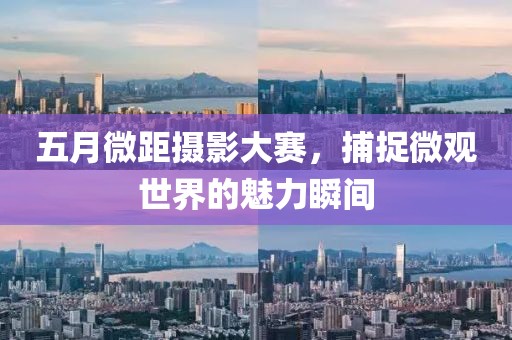 五月微距摄影大赛，捕捉微观世界的魅力瞬间