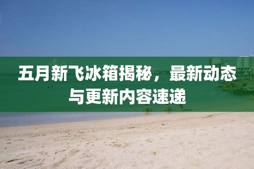 五月新飞冰箱揭秘，最新动态与更新内容速递