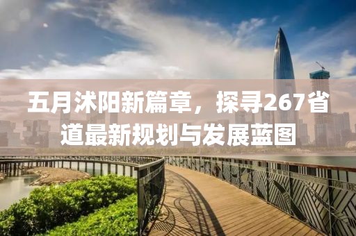 五月沭阳新篇章，探寻267省道最新规划与发展蓝图