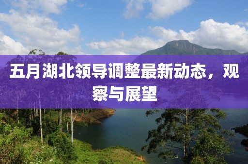 五月湖北领导调整最新动态，观察与展望