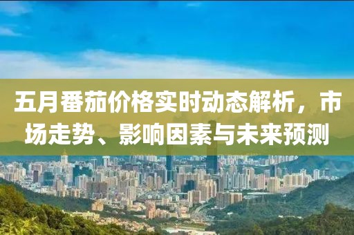五月番茄价格实时动态解析，市场走势、影响因素与未来预测