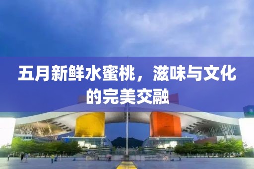 及晓桐