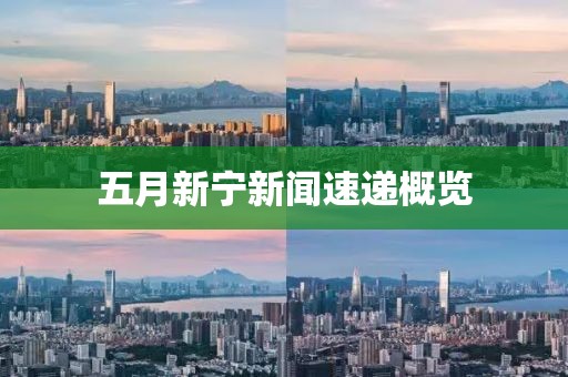 五月新宁新闻速递概览
