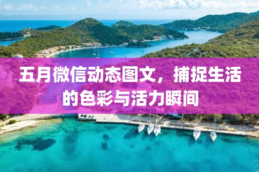 五月微信动态图文，捕捉生活的色彩与活力瞬间