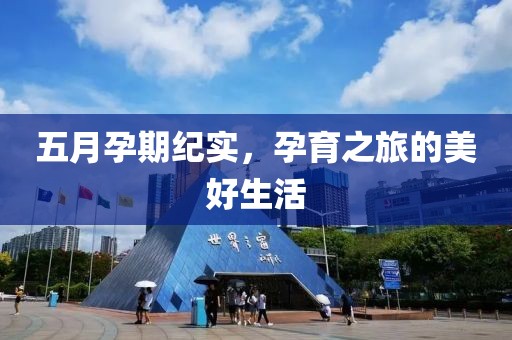 五月孕期纪实，孕育之旅的美好生活