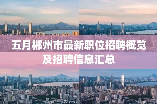 五月郴州市最新职位招聘概览及招聘信息汇总