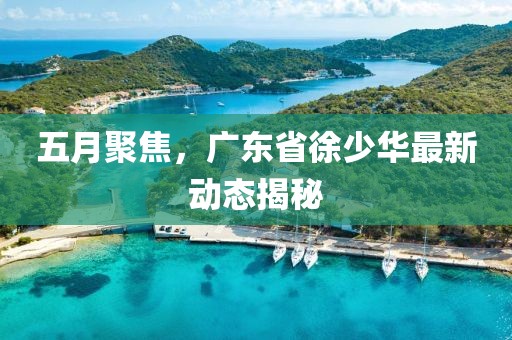 五月聚焦，广东省徐少华最新动态揭秘