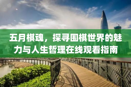 五月棋魂，探寻围棋世界的魅力与人生哲理在线观看指南