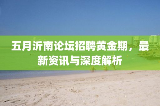 五月沂南论坛招聘黄金期，最新资讯与深度解析