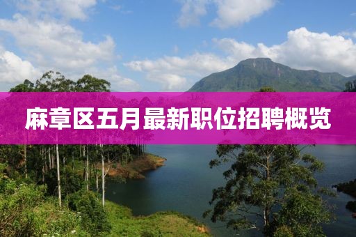 麻章区五月最新职位招聘概览