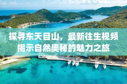 探寻东天目山，最新往生视频揭示自然奥秘的魅力之旅
