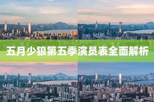 五月少狼第五季演员表全面解析