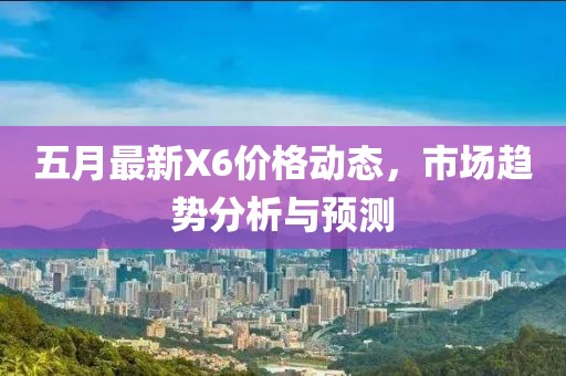 五月最新X6价格动态，市场趋势分析与预测