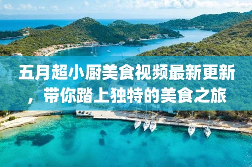 五月超小厨美食视频最新更新，带你踏上独特的美食之旅