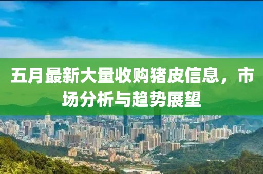 五月最新大量收购猪皮信息，市场分析与趋势展望