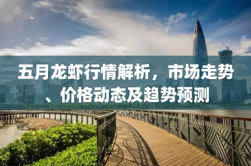 五月龙虾行情解析，市场走势、价格动态及趋势预测