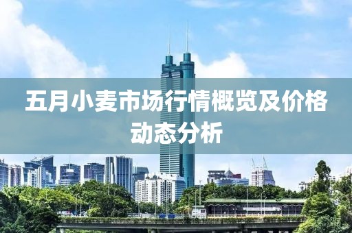 五月小麦市场行情概览及价格动态分析