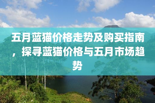 五月蓝猫价格走势及购买指南，探寻蓝猫价格与五月市场趋势