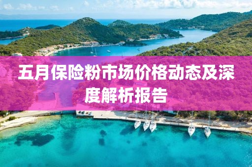 五月保险粉市场价格动态及深度解析报告
