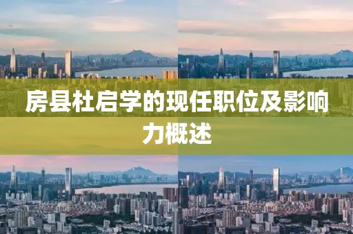 房县杜启学的现任职位及影响力概述