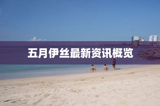 五月伊丝最新资讯概览
