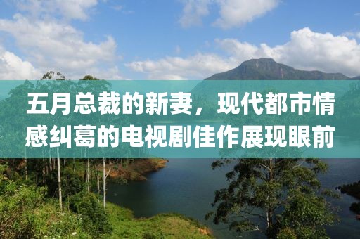 五月总裁的新妻，现代都市情感纠葛的电视剧佳作展现眼前