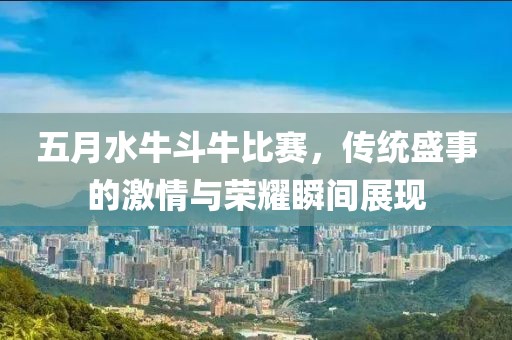 五月水牛斗牛比赛，传统盛事的激情与荣耀瞬间展现
