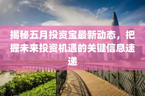 揭秘五月投资宝最新动态，把握未来投资机遇的关键信息速递