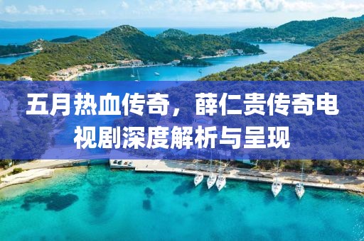 五月热血传奇，薛仁贵传奇电视剧深度解析与呈现