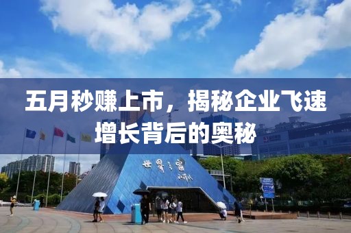 五月秒赚上市，揭秘企业飞速增长背后的奥秘