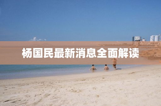 杨国民最新消息全面解读