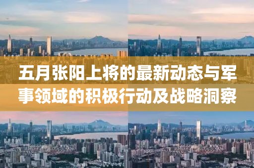 五月张阳上将的最新动态与军事领域的积极行动及战略洞察