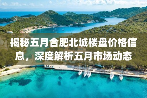 揭秘五月合肥北城楼盘价格信息，深度解析五月市场动态