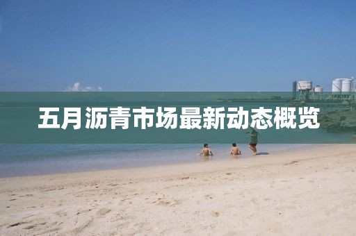 五月沥青市场最新动态概览