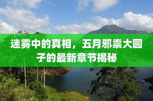 迷雾中的真相，五月邪祟大圆子的最新章节揭秘