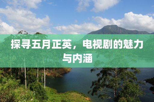 探寻五月正英，电视剧的魅力与内涵