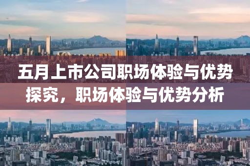 五月上市公司职场体验与优势探究，职场体验与优势分析