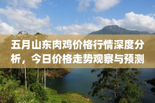 五月山东肉鸡价格行情深度分析，今日价格走势观察与预测