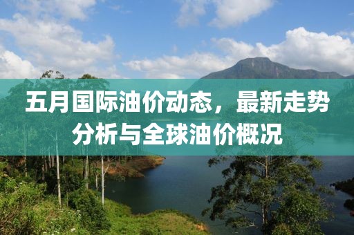 五月国际油价动态，最新走势分析与全球油价概况
