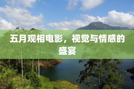 五月观相电影，视觉与情感的盛宴