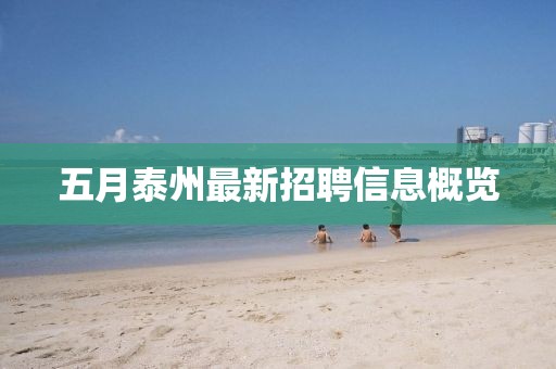 五月泰州最新招聘信息概览